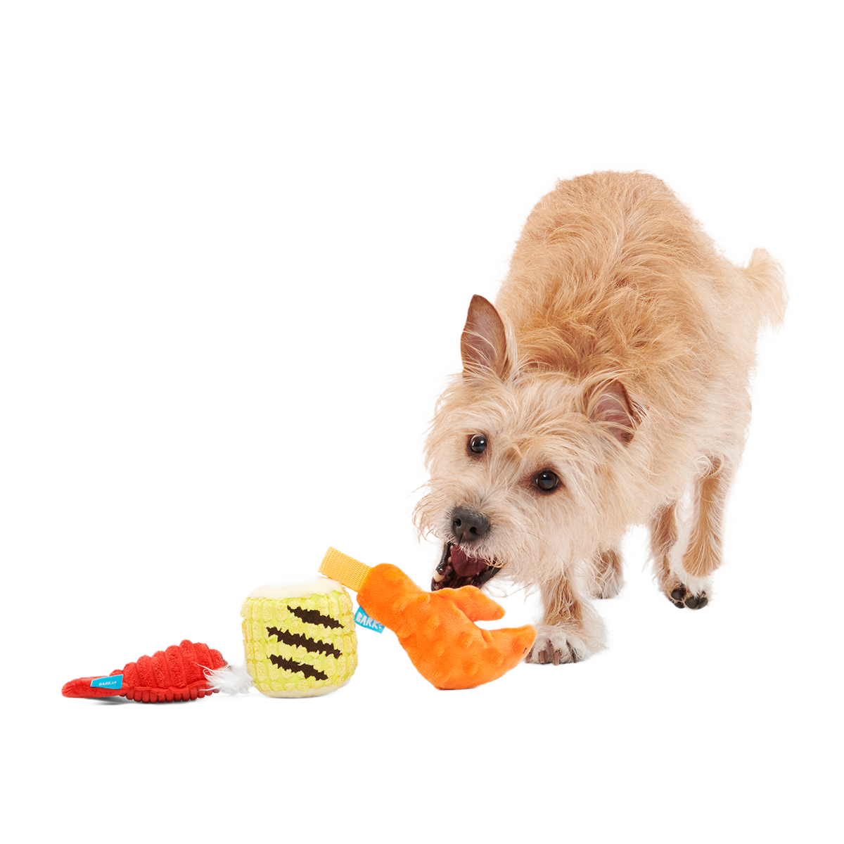 The Maine Event Plush Multi-Part Dog Toy