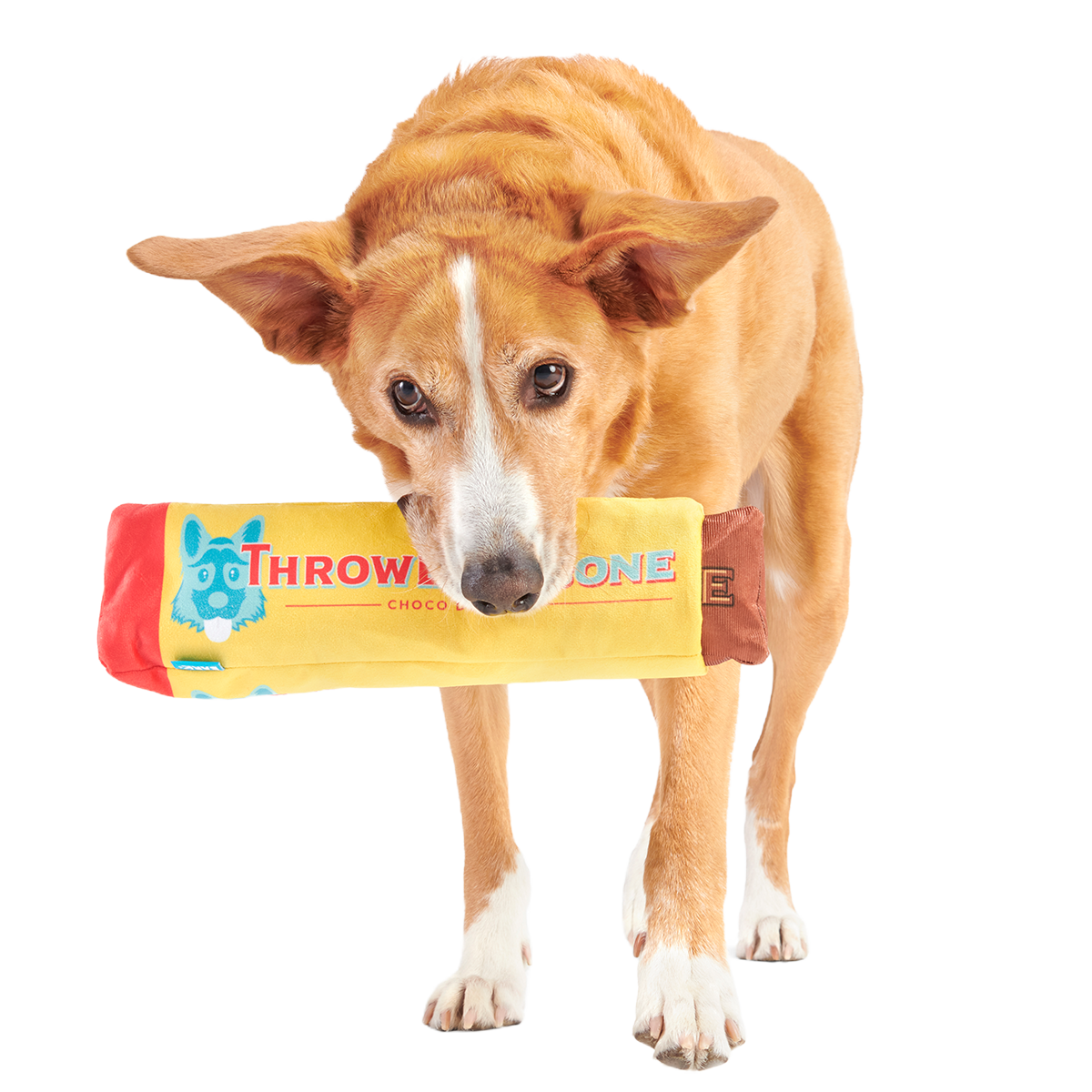 ThrowblerBone Plush Extra-Large + Multi-Part + Enrichment Dog Toy