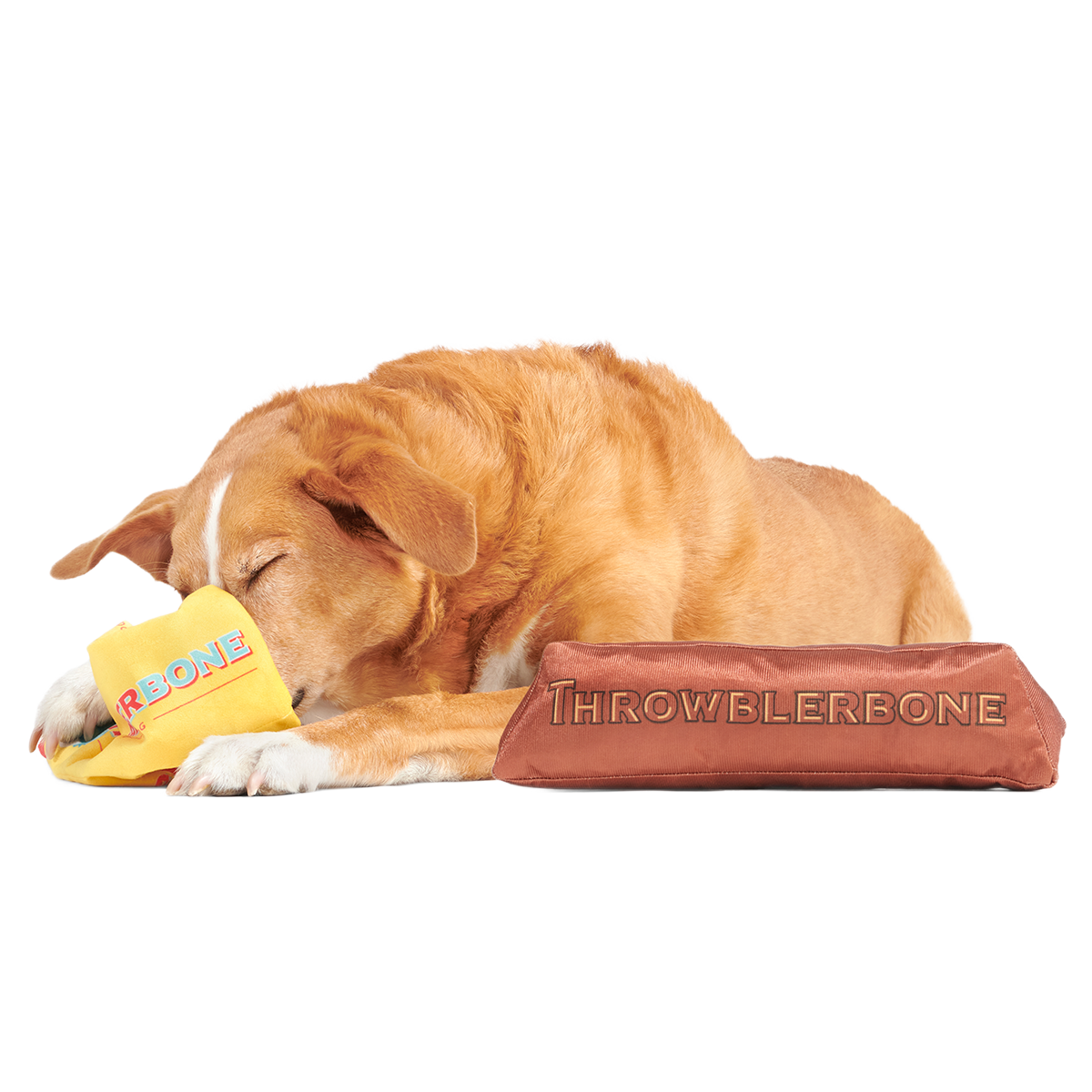 ThrowblerBone Plush Extra-Large + Multi-Part + Enrichment Dog Toy