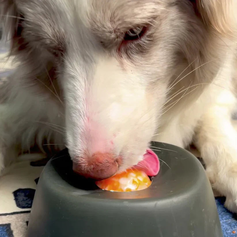 Calming Lick Bowl
